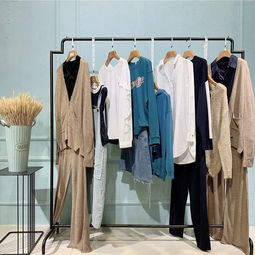 捕捉前端流行要素,還有國際化裁剪工藝 品牌女裝折扣衣佰匯批發(fā)走份